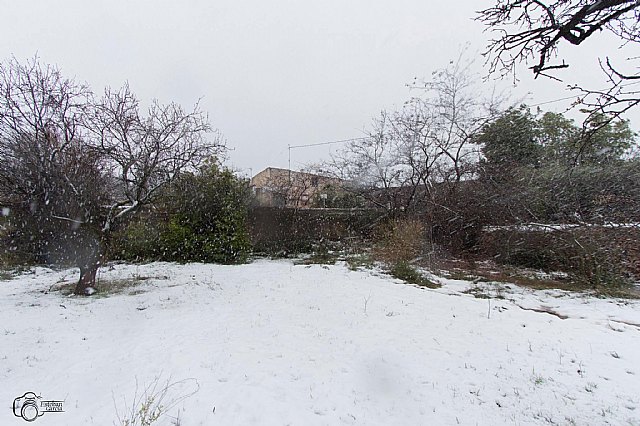 Nevada en Totana - 18 de enero de 2017 - 440