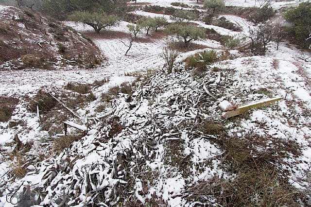 Nevada en Totana - 18 de enero de 2017 - 441