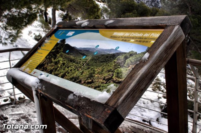 Nevada en Totana - 18 de enero de 2017 - 471