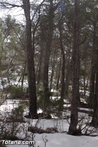 Nevada en Totana - 18 de enero de 2017 - 473