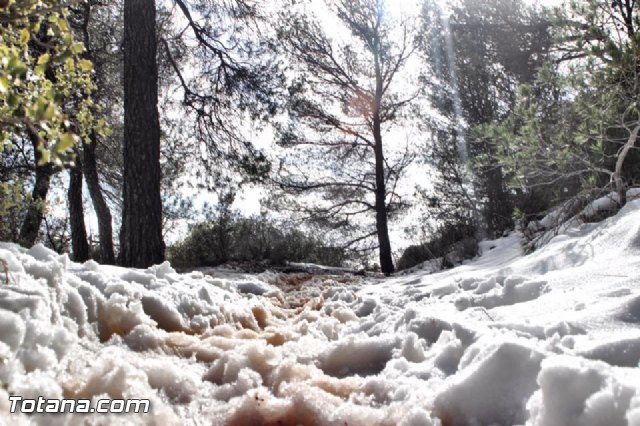 Nevada en Totana - 18 de enero de 2017 - 476