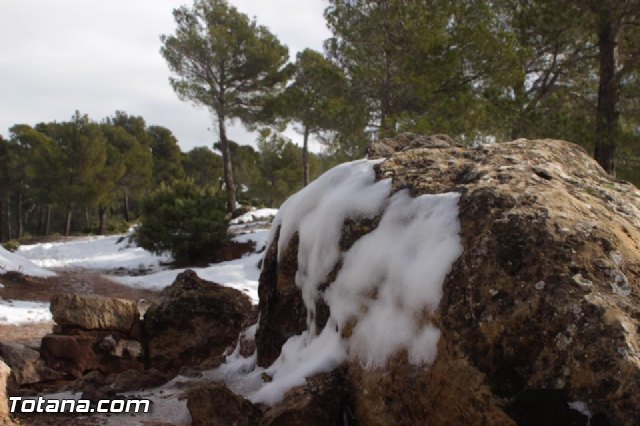 Nevada en Totana - 18 de enero de 2017 - 479