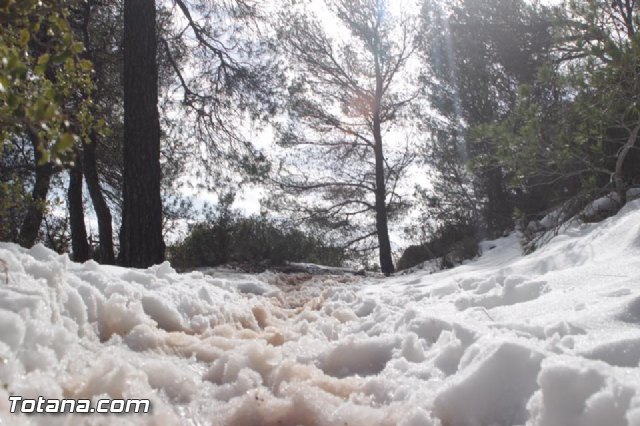 Nevada en Totana - 18 de enero de 2017 - 480