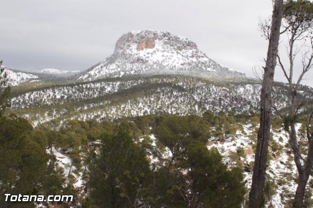 Nevada en Totana - 18 de enero de 2017 - 481
