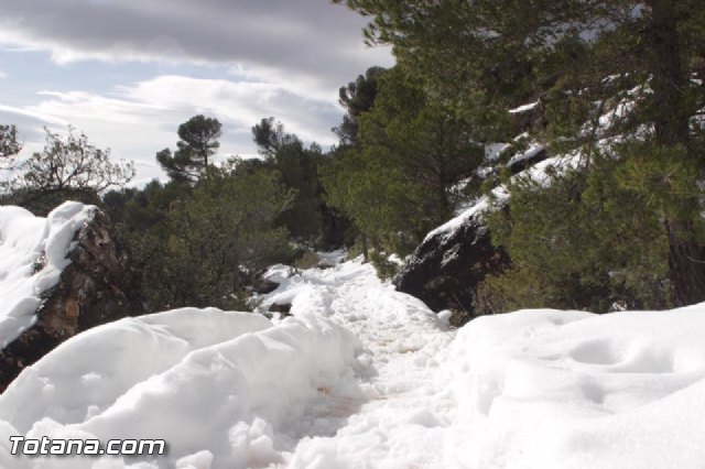 Nevada en Totana - 18 de enero de 2017 - 485