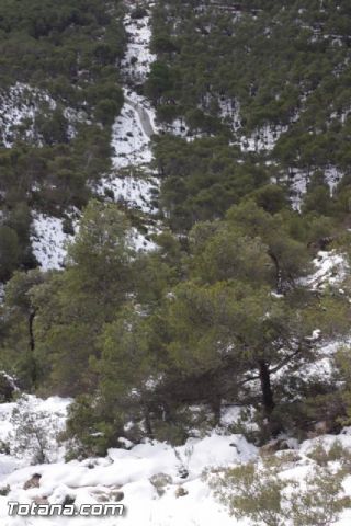 Nevada en Totana - 18 de enero de 2017 - 486