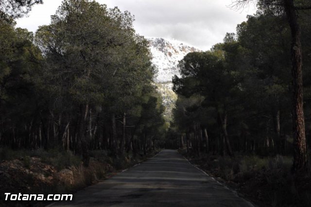 Nevada en Totana - 18 de enero de 2017 - 488