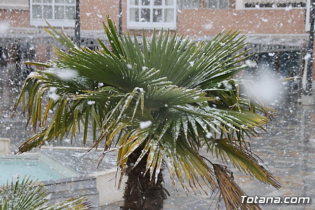 Nevada en Totana - 18 de enero de 2017 - 4