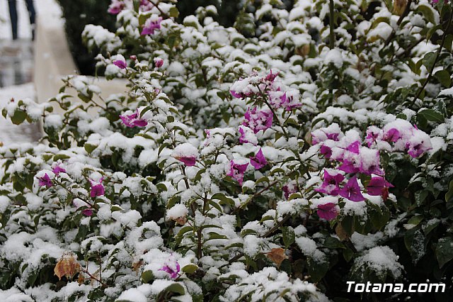 Nevada en Totana - 18 de enero de 2017 - 35