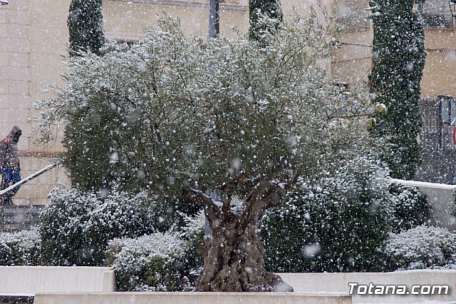 Nevada en Totana - 18 de enero de 2017 - 56