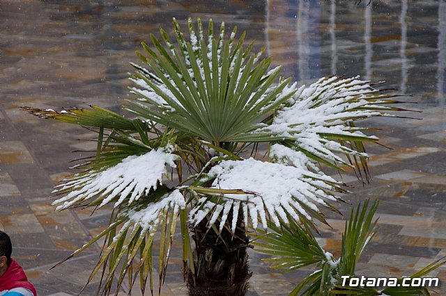 Nevada en Totana - 18 de enero de 2017 - 74