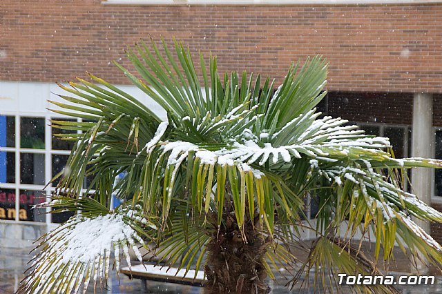 Nevada en Totana - 18 de enero de 2017 - 75