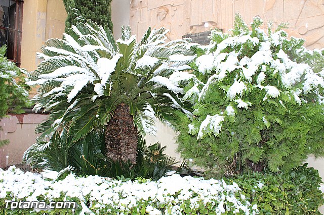 Nevada en Totana - 18 de enero de 2017 - 116