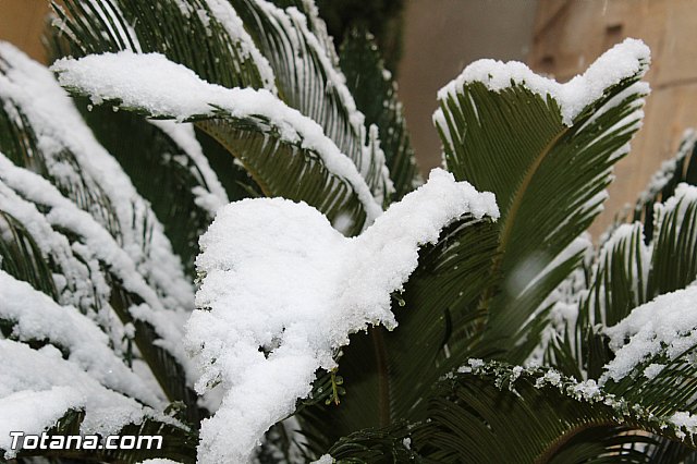 Nevada en Totana - 18 de enero de 2017 - 119