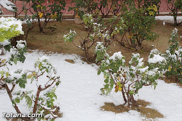 Nevada en Totana - 18 de enero de 2017 - 135