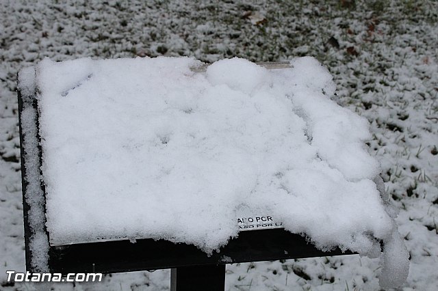 Nevada en Totana - 18 de enero de 2017 - 162