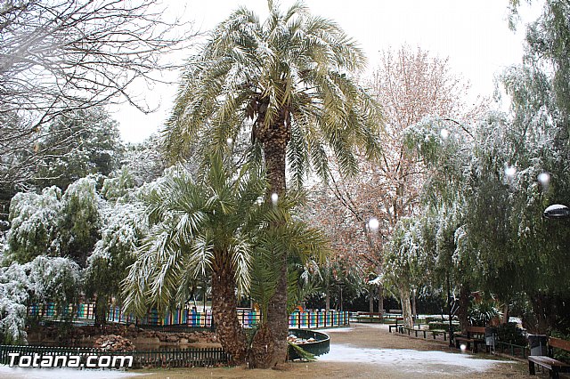 Nevada en Totana - 18 de enero de 2017 - 164