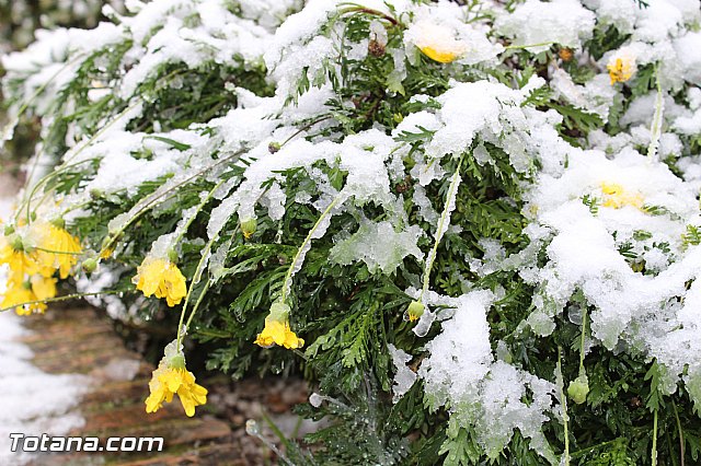 Nevada en Totana - 18 de enero de 2017 - 187