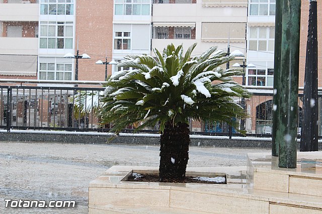 Nevada en Totana - 18 de enero de 2017 - 196