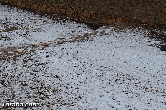Nevada en Totana - 18 de enero de 2017 - 217