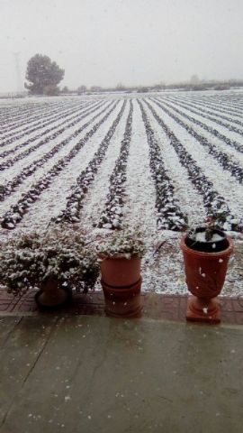 Nevada en Totana - 18 de enero de 2017 - 236