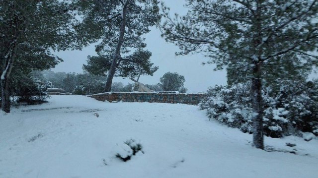 Nevada en Totana - 18 de enero de 2017 - 237