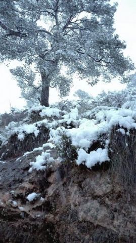 Nevada en Totana - 18 de enero de 2017 - 240