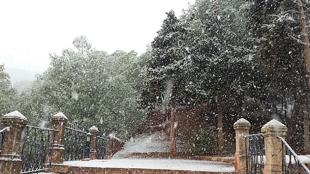 Nevada en Totana - 18 de enero de 2017 - 250