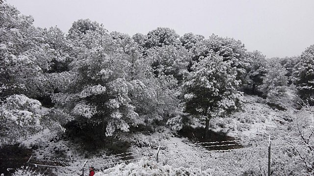 Nevada en Totana - 18 de enero de 2017 - 256