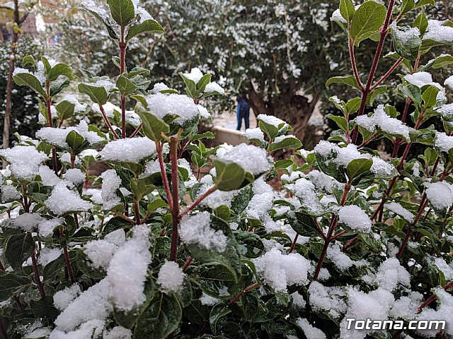 Nevada en Totana - 18 de enero de 2017 - 265