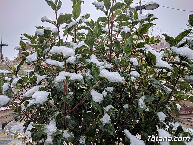 Nevada en Totana - 18 de enero de 2017 - 266
