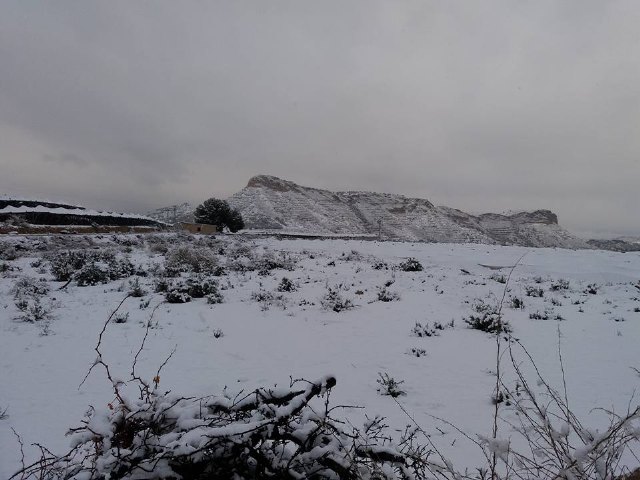 Nevada en Totana - 18 de enero de 2017 - 281