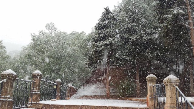 Nevada en Totana - 18 de enero de 2017 - 283