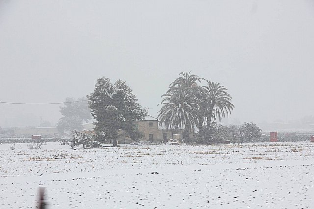Nevada en Totana - 18 de enero de 2017 - 286