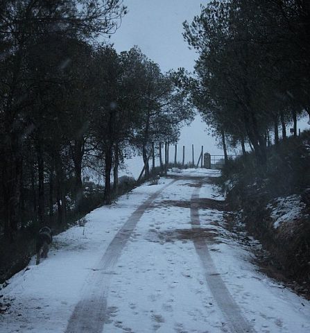 Nevada en Totana - 18 de enero de 2017 - 287