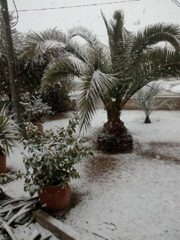 Nevada en Totana - 18 de enero de 2017 - 298