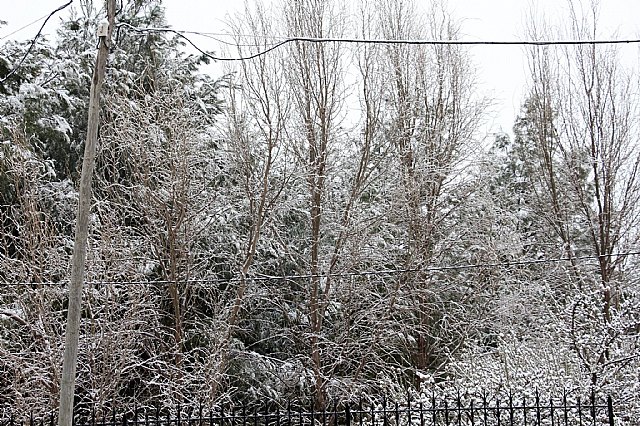 Nevada en Totana - 18 de enero de 2017 - 299