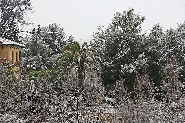 Nevada en Totana - 18 de enero de 2017 - 305