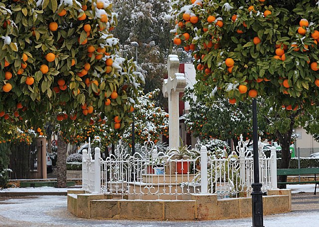 Nevada en Totana - 18 de enero de 2017 - 306