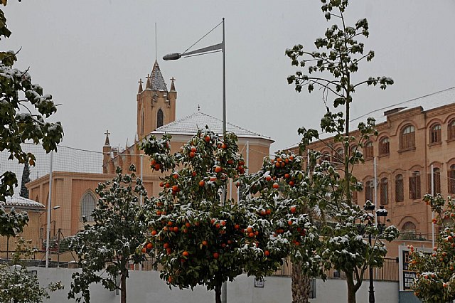 Nevada en Totana - 18 de enero de 2017 - 311