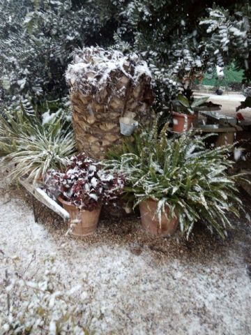 Nevada en Totana - 18 de enero de 2017 - 313