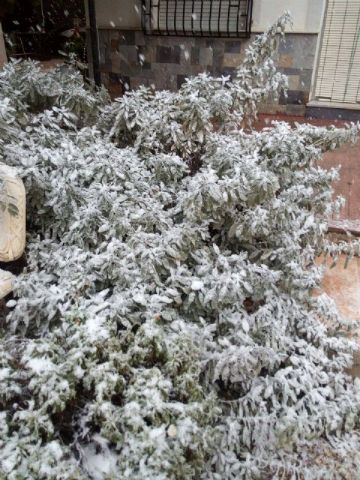 Nevada en Totana - 18 de enero de 2017 - 315