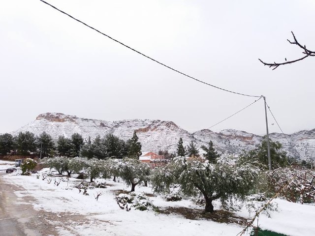 Nevada en Totana - 18 de enero de 2017 - 317