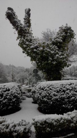 Nevada en Totana - 18 de enero de 2017 - 334