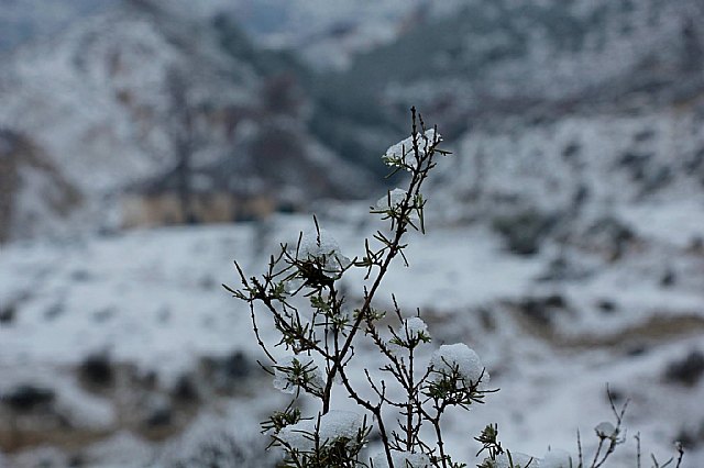 Nevada en Totana - 18 de enero de 2017 - 335