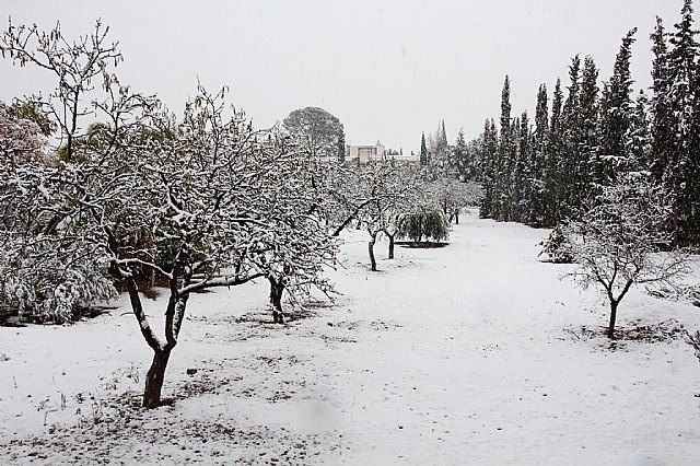Nevada en Totana - 18 de enero de 2017 - 338