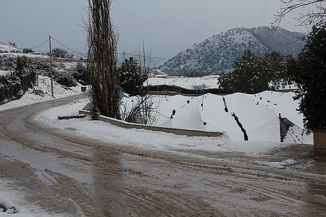 Nevada en Totana - 18 de enero de 2017 - 339