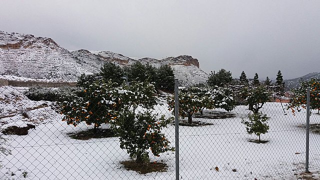 Nevada en Totana - 18 de enero de 2017 - 342