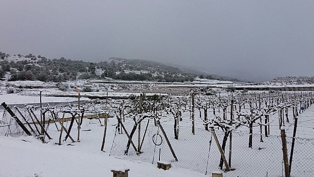 Nevada en Totana - 18 de enero de 2017 - 344