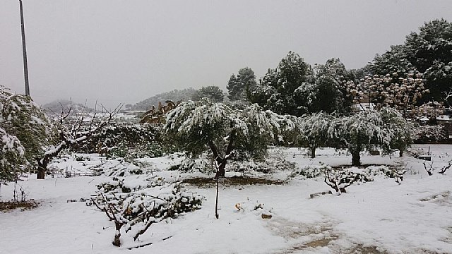 Nevada en Totana - 18 de enero de 2017 - 345
